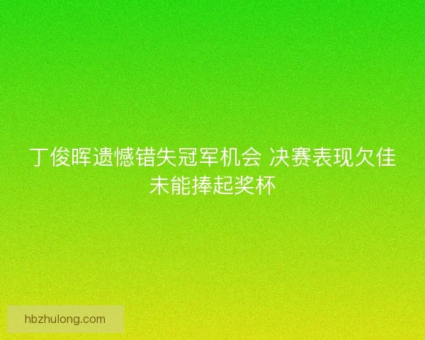 丁俊晖遗憾错失冠军机会 决赛表现欠佳未能捧起奖杯